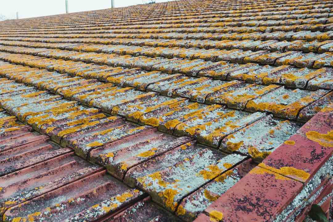a damaged roof covered with moss